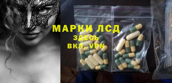 ПСИЛОЦИБИНОВЫЕ ГРИБЫ Абаза