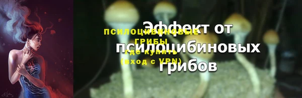 ешки Пролетарск