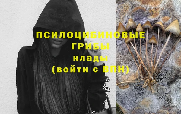 круглые Алексеевка