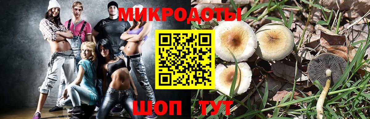 Псилоцибиновые грибы Psilocybe  Вход с VPN  Кострома 