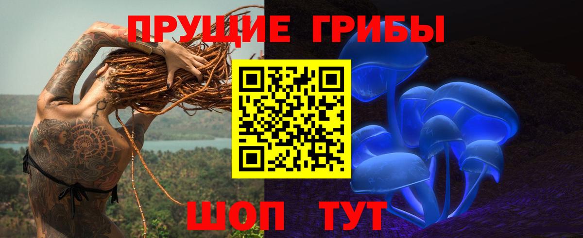 Псилоцибиновые грибы GOLDEN TEACHER Кострома