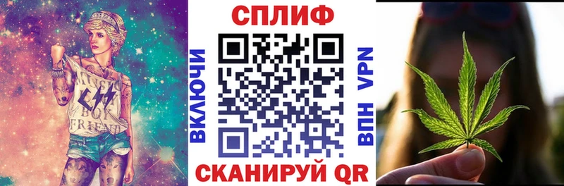 mega зеркало  наркота  Кострома  Бошки марихуана Ganja 